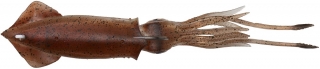 savage gear 3D TPE swim squid 26cm Red Brown 124g