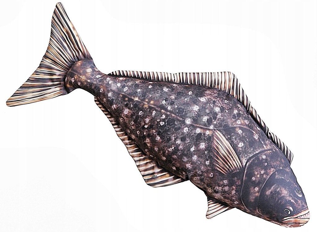 Gaby Polštář Halibut 72 cm