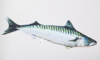 Makrela - 50 cm polštářek - GMO GABY